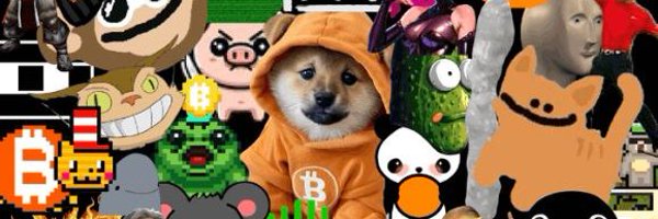 0xZeroZ Profile Banner