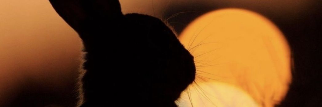 Alen79634963's profile banner image