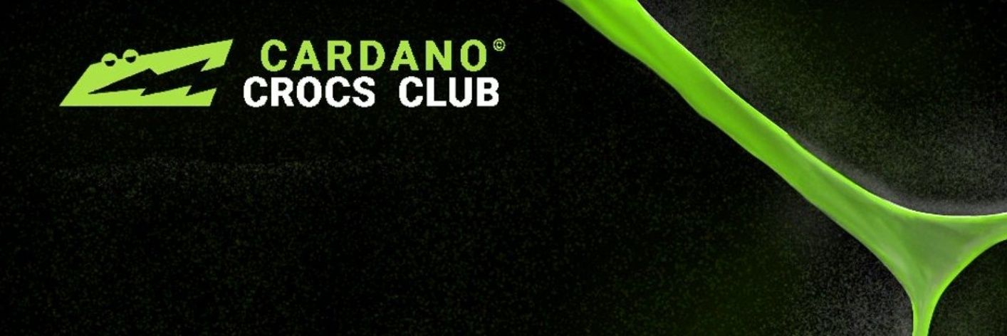 Derocki 🐊🐧 banner
