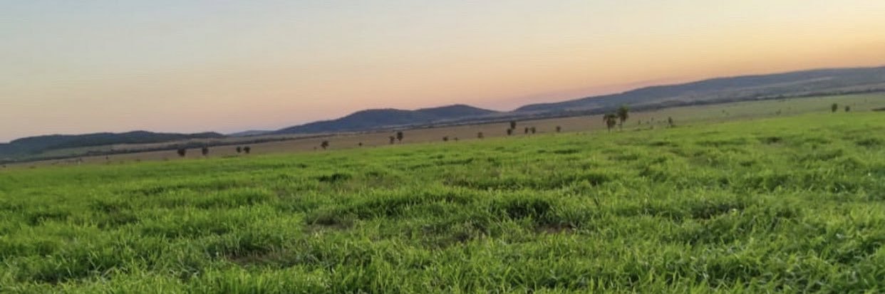 WismannBrizuel's profile banner image