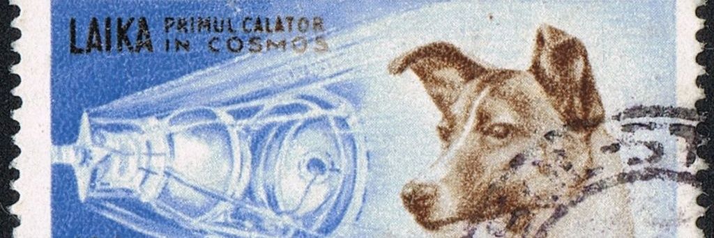 vanns35's profile banner image