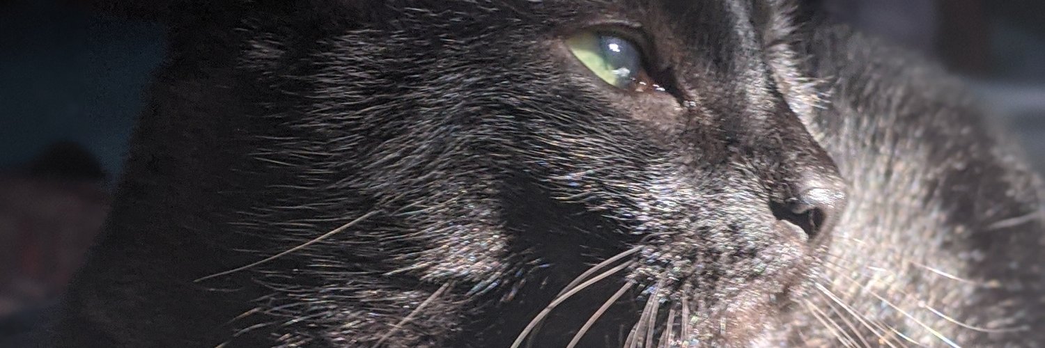 kat_daddy9's profile banner image