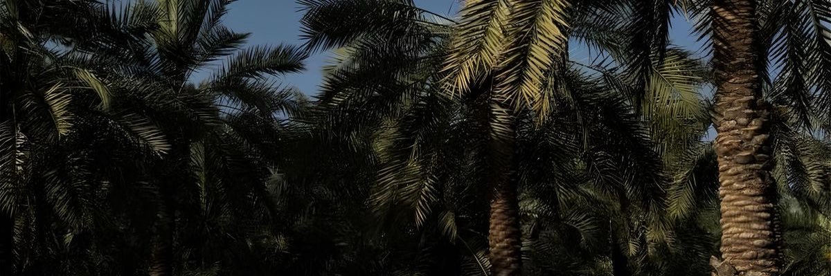 ربى المطيري banner