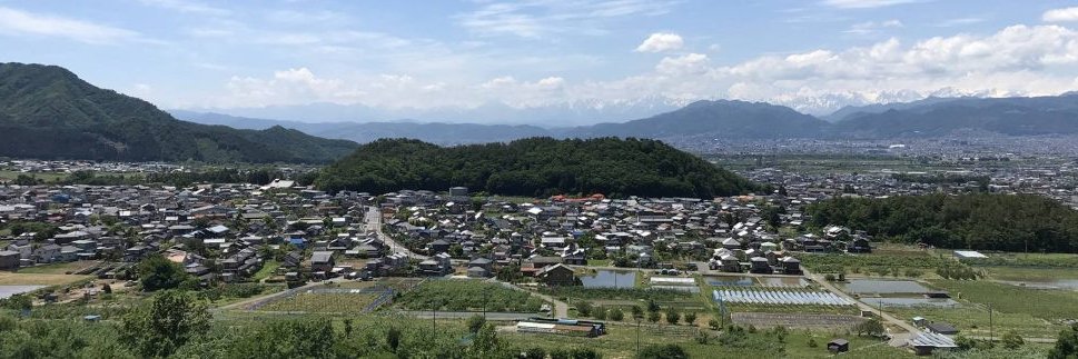 しのびー🍠＠本庄こだま🌸 banner