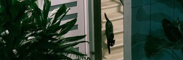 SarahRhyder Profile Banner