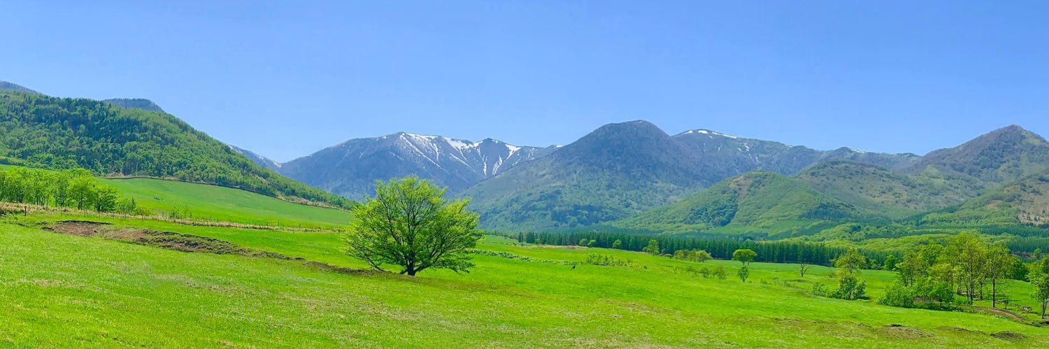 kossy1's profile banner image