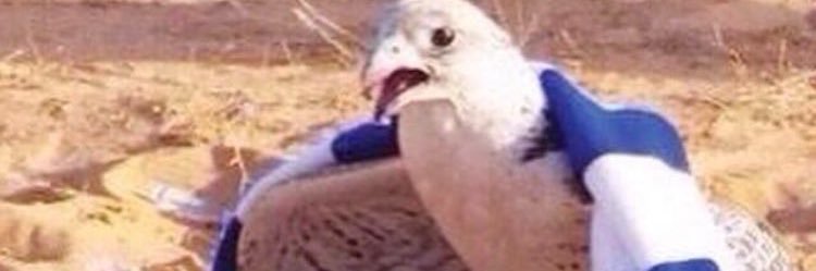 خالد بن مساعد 💙🫶🏻💙 banner