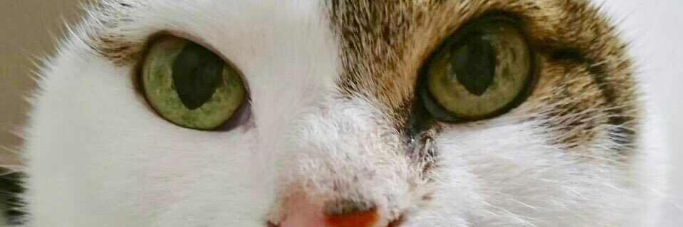 beet_on's profile banner image