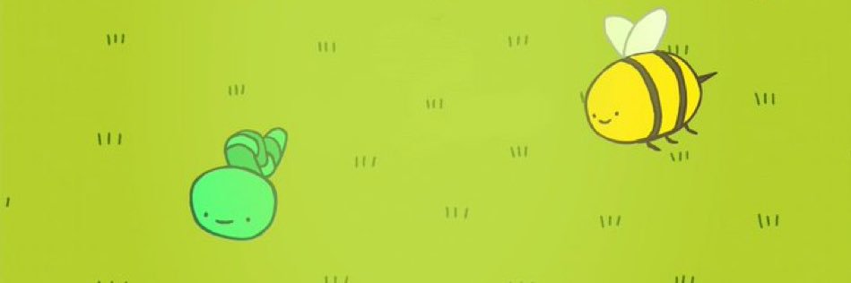 banjo banner
