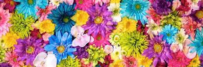 URAIちゃん banner