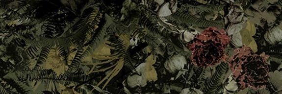 ismaabogarin's profile banner image