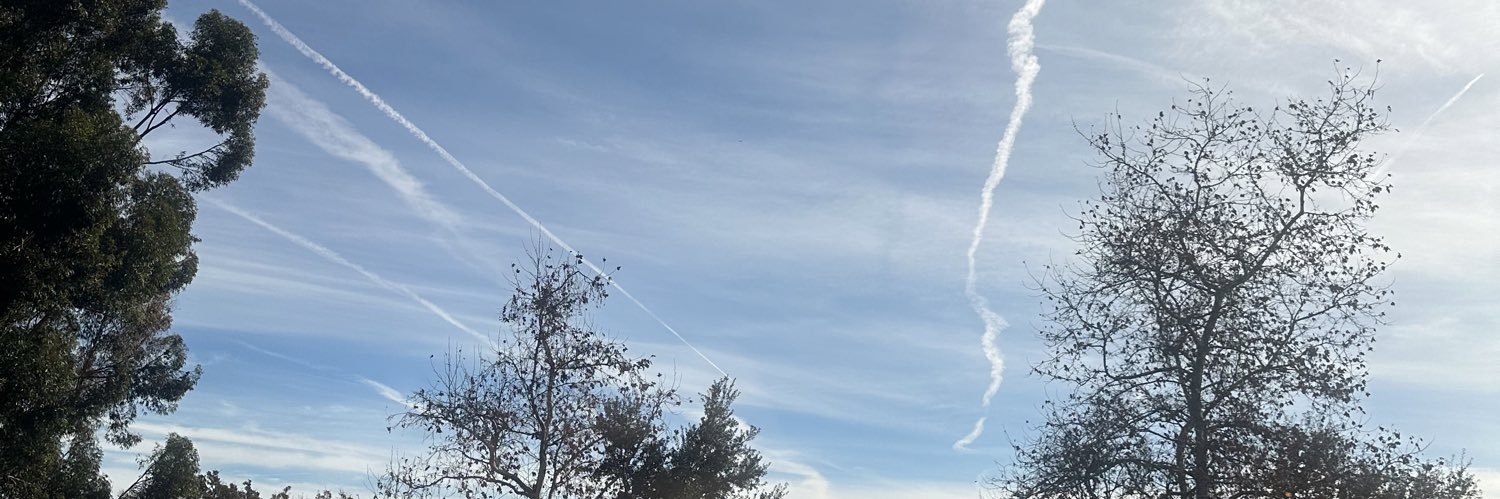 FREE CAT 🌸🩸 banner