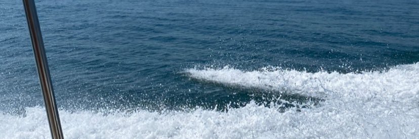 moretto_alice's profile banner image