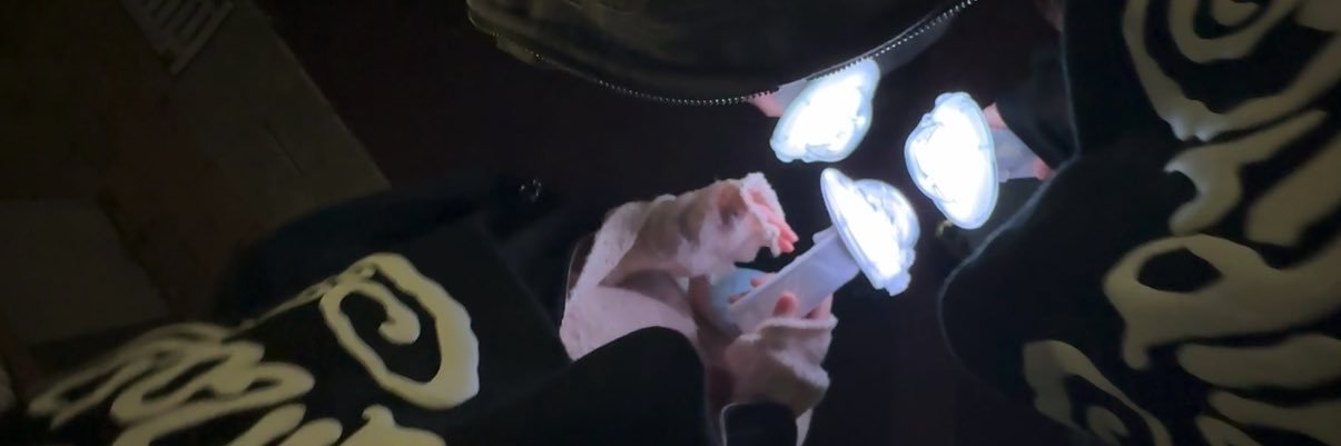 tbz_38's profile banner image