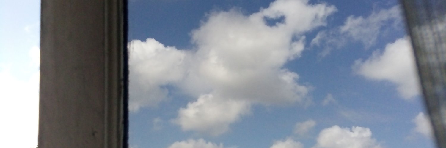 larasatuit's profile banner image