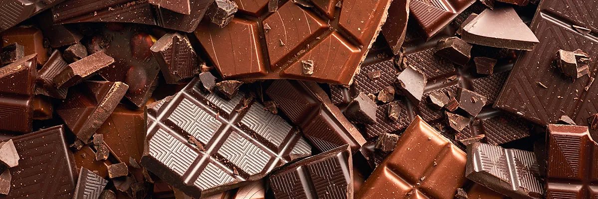 Fine Chocolate Connoisseur banner