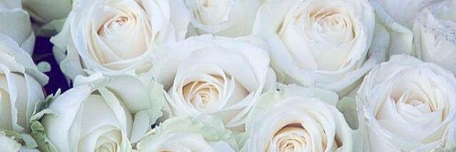 KayleighReilly7's profile banner image