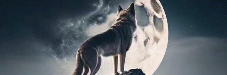 🐺 banner