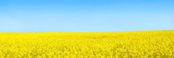 LauraAlbins's profile banner image
