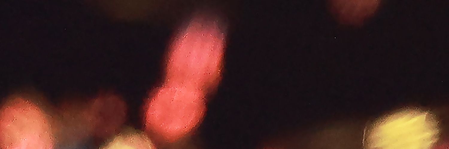 NN. banner