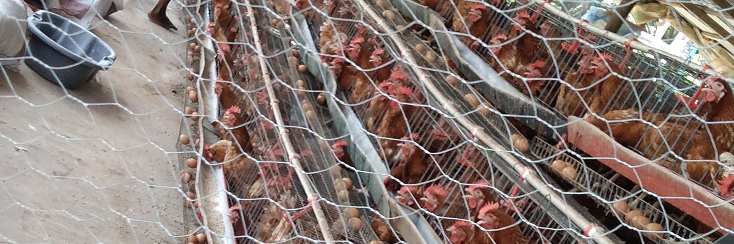 Grateful_heart⏱ banner