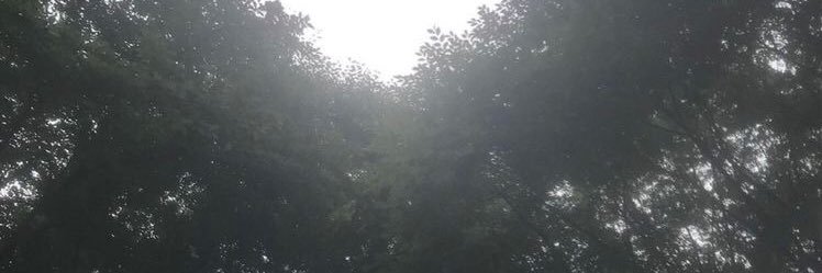 iseo* banner
