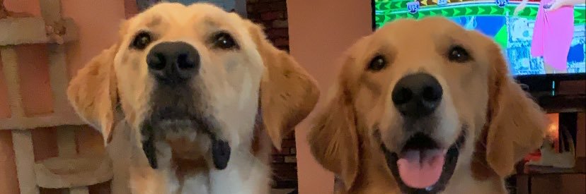suetravis41's profile banner image
