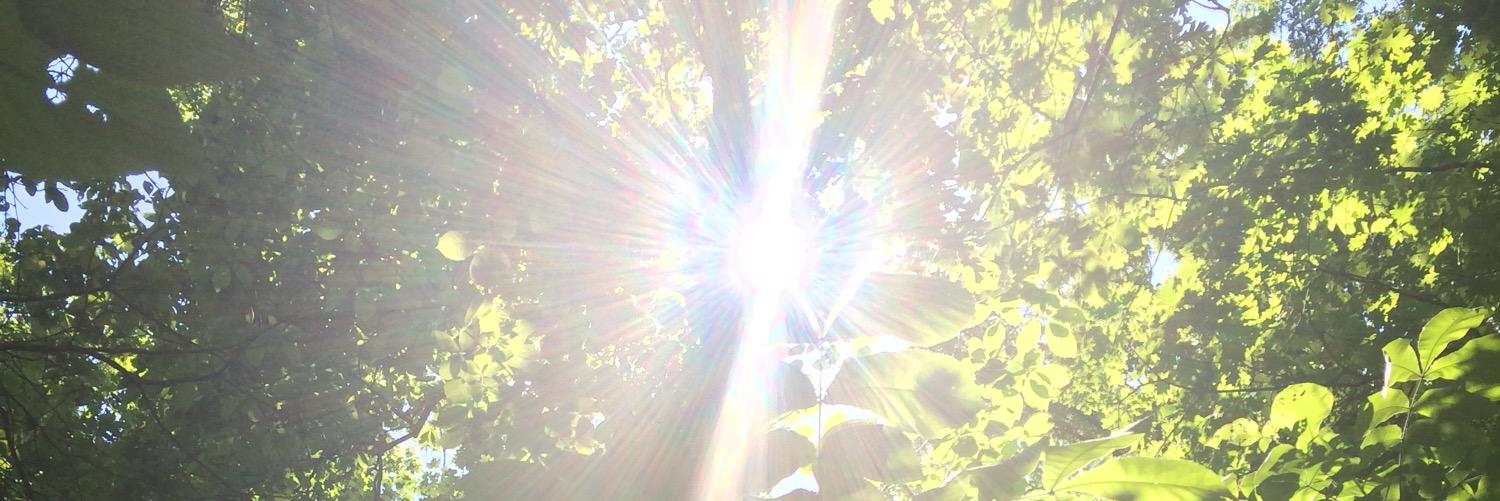 Marielys J. Divanne banner