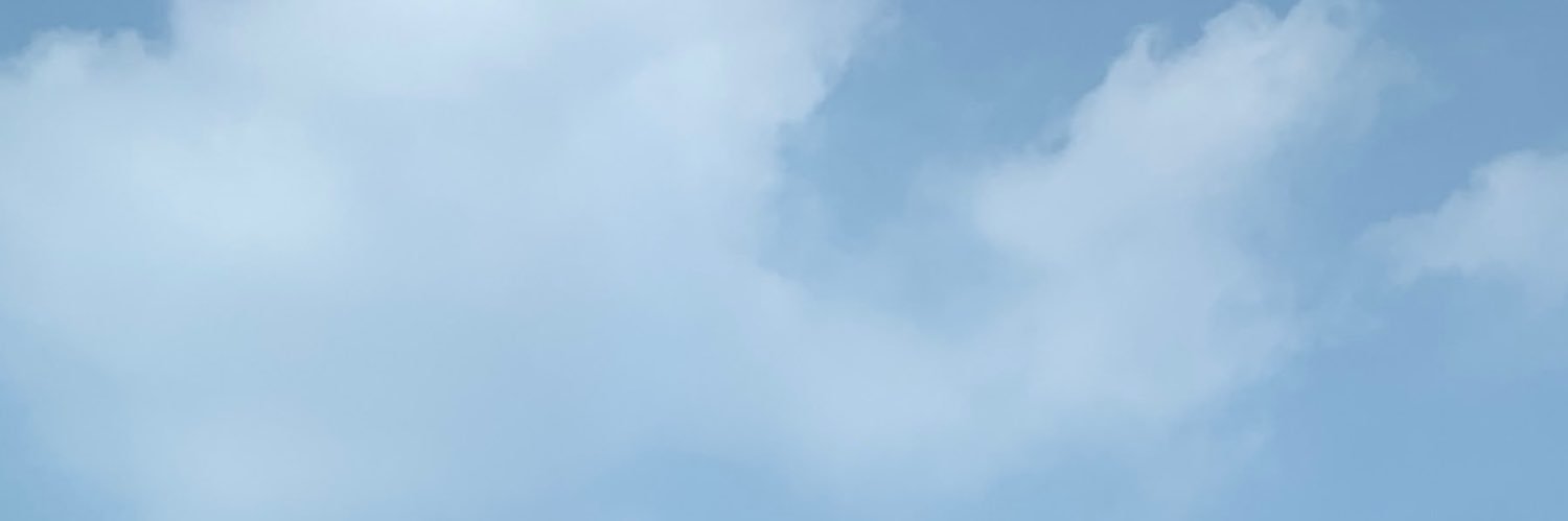 표 - Pyo banner