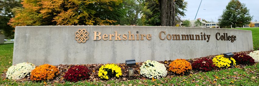 BerkshireCC's profile banner image
