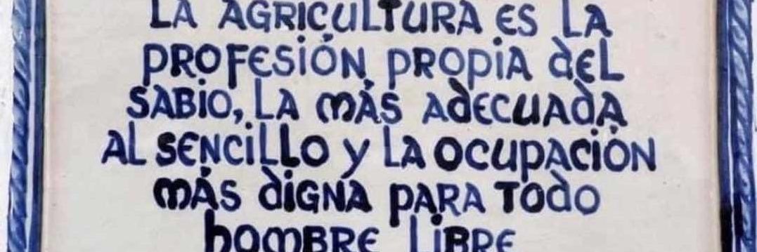 Berta Maldonado C. banner