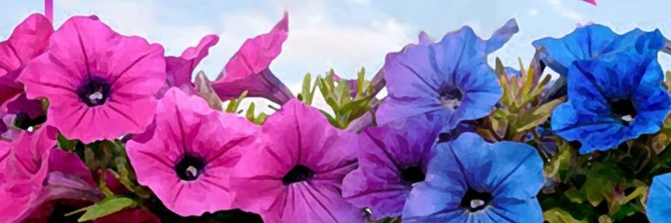 RevolutionBio's profile banner image