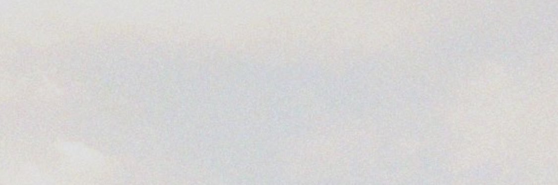 papaveribianchi's profile banner image