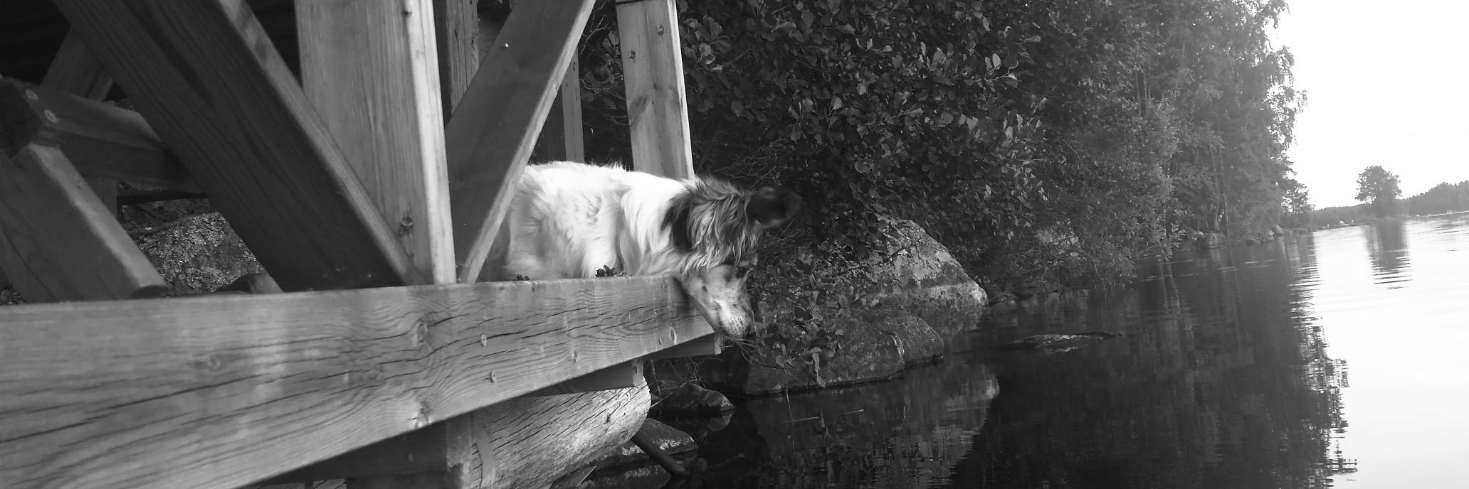 Teemu Turpeinen banner