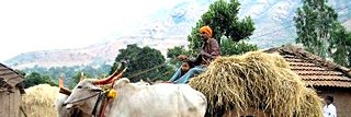A layman..An Indian banner