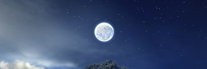 0309Kengo's profile banner image