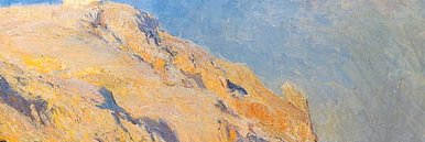 Rowan Thomas banner