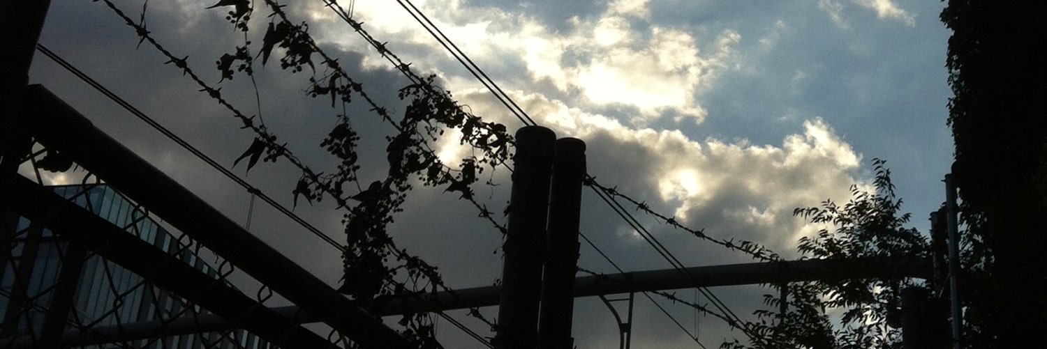 楓 banner