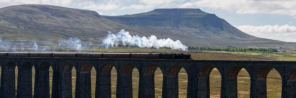 nettefromnotts Profile Banner