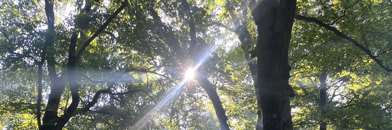 Reading with Caz📚🏳️‍🌈 banner