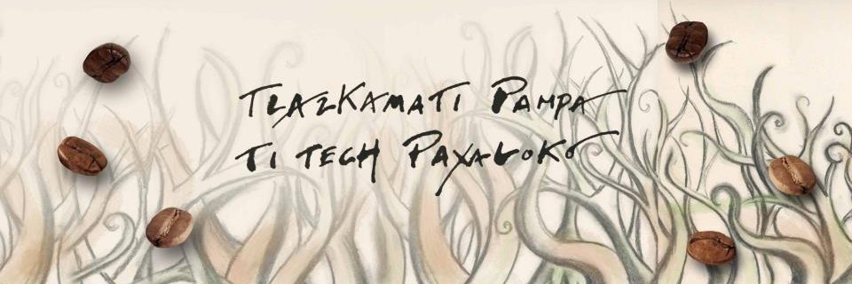 cafederaiz's profile banner image
