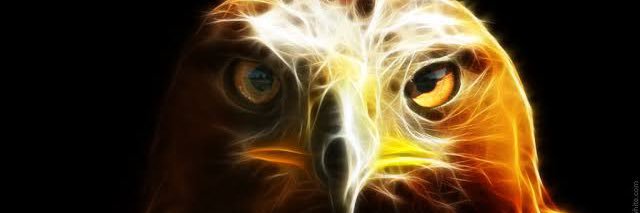 likebesiktas's profile banner image