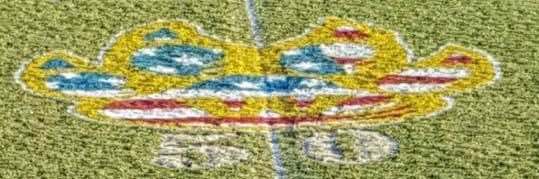 tannerc44's profile banner image