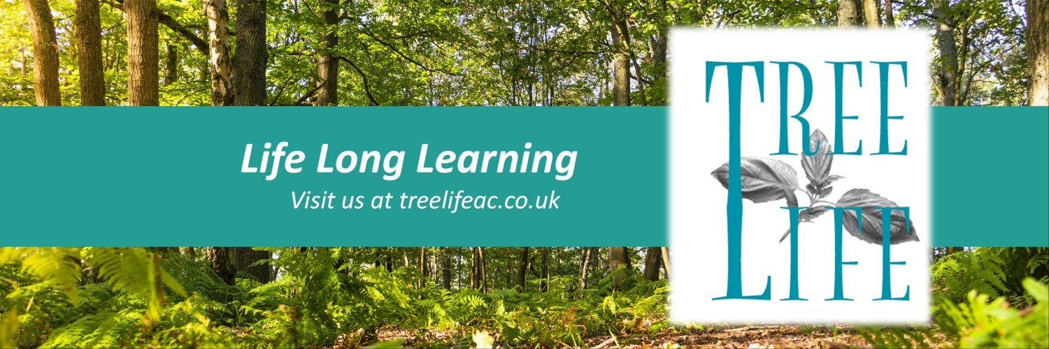 TreeLifeACLtd's profile banner image