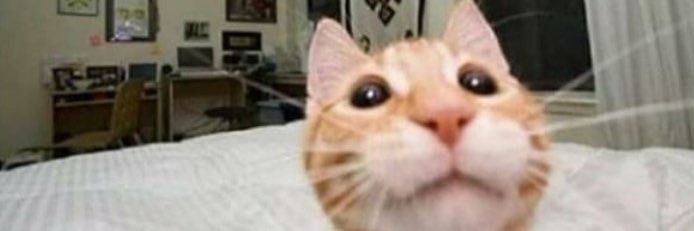username10093's profile banner image