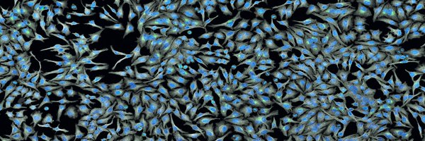 CancerCSIC Profile Banner