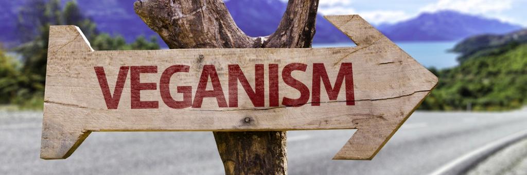 VeganBlatt's profile banner image