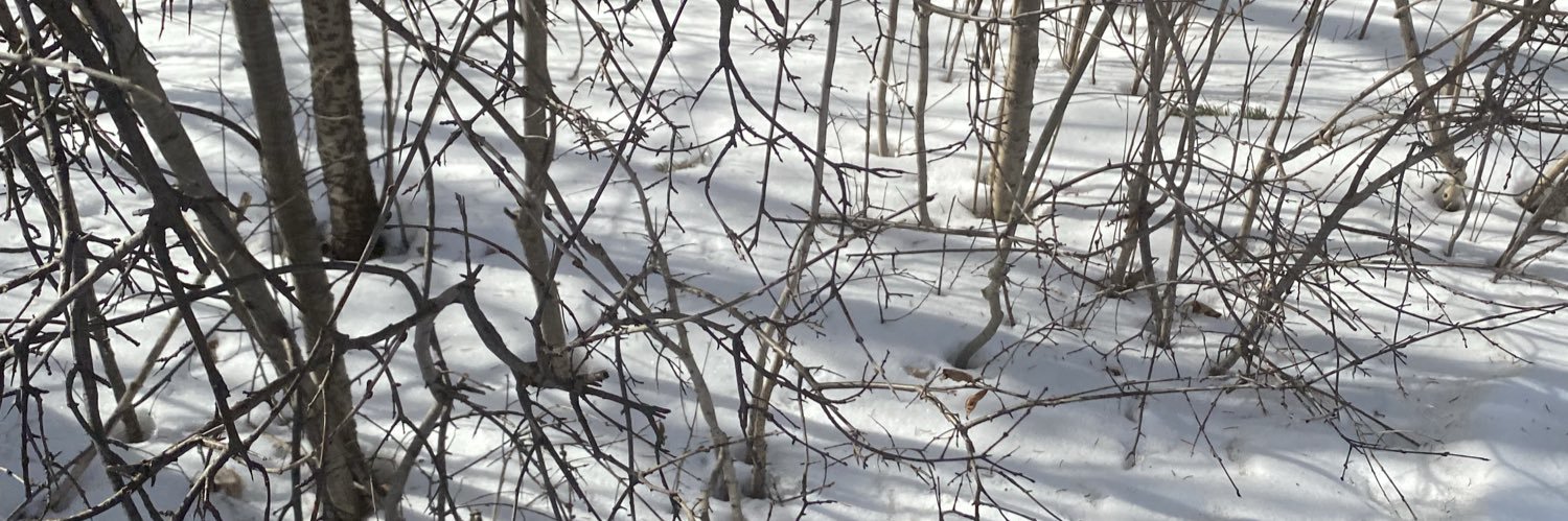 Athens ⋆.✮ banner