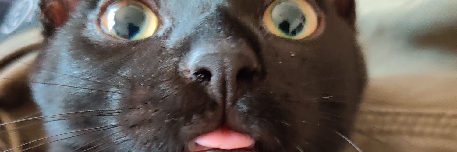 fleasname's profile banner image