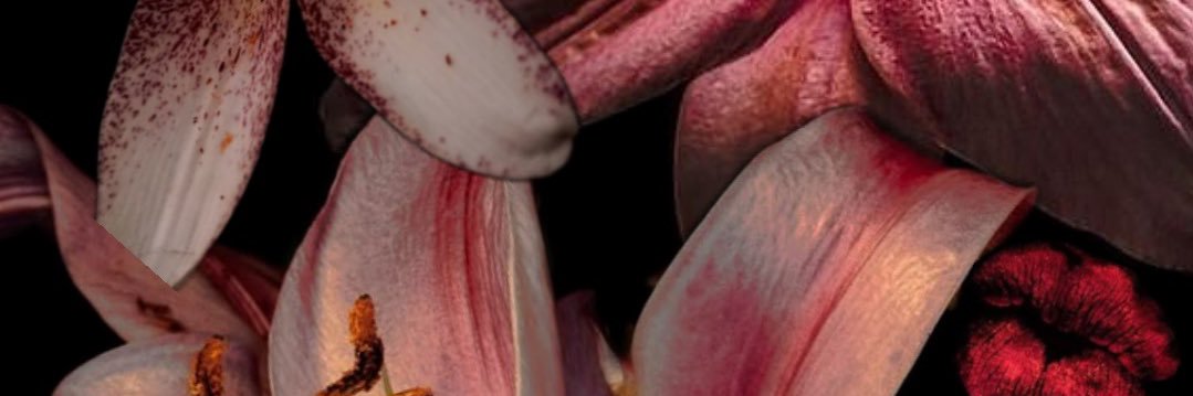 VelvetBabe💙 banner